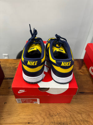 Nike Dunk Low “Michigan” Size 10.5