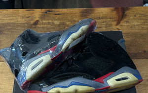 Air Jordan 6 “Pistons” Size 10.5