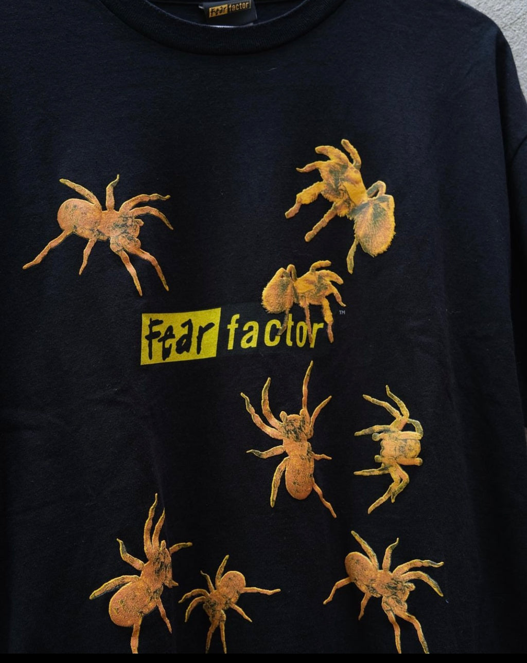 ‘04 Fear Factor Promo