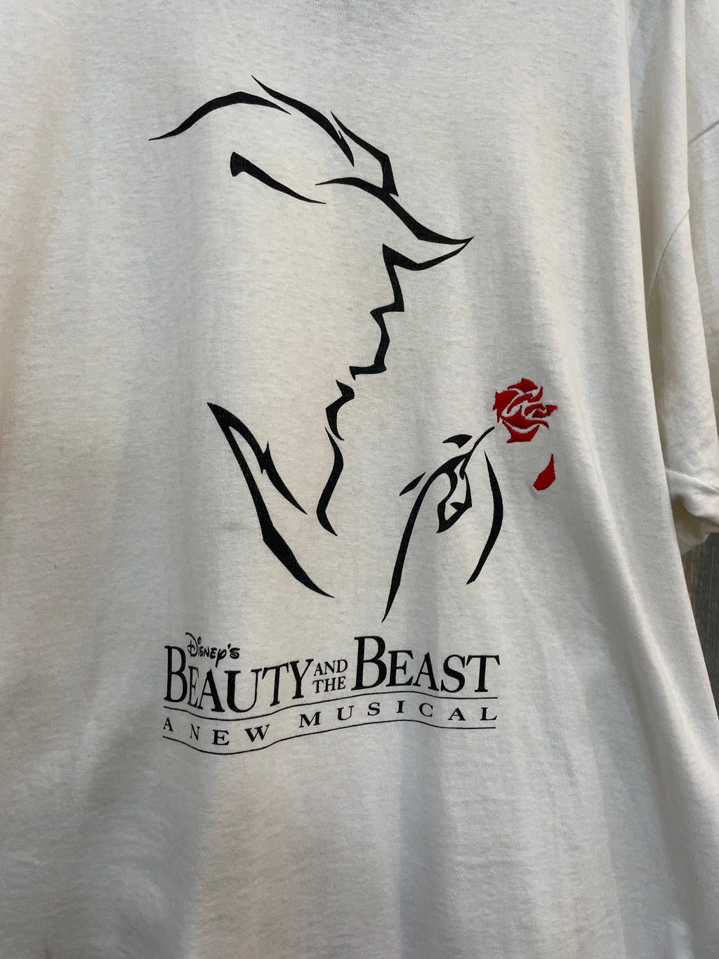 Disney Beauty and the Beast Musical